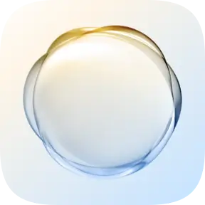 荣耀智慧决策安装包8.0.93.80安卓版