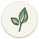 LeviLauncher启动器2025最新版 v1.1.6 安卓版