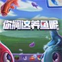 你搁这养鱼呢最新版下载