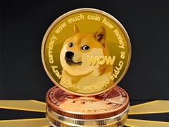 狗狗币钱包安卓版v6.131.0 手机版