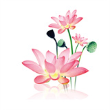 水墨工具箱安卓版手机版v1.2.0