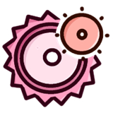 齿轮辅助羽霖咲华最终形态粉色正版v13.20.0