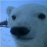 小布换源安卓版手机版v1.7.5