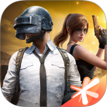 和平精英国际服(PUBG Mobile)官方正版v1.34.12
