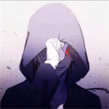 小龙框架专属防闪官方版v11.3.8.0