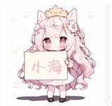 小海工具箱X安卓版安装v1.19