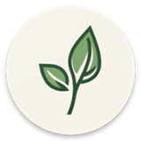 levilauncher启动器官方正版v1.1.6