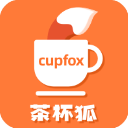 茶杯狐CupFox纯净版