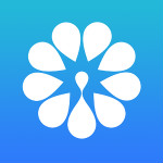 河姆渡电商平台官方版v3.3.8 安卓版