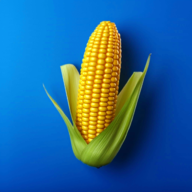 我的农场最新版下载