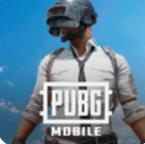 绝地求生刺激战场正版下载手机移动端v3.8.0