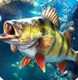 欢乐钓鱼大师2026正版游戏下载v1.0.0.206127