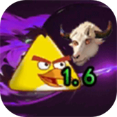 我的鸟随机版最新版下载