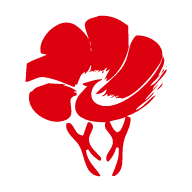 放新办最新版v1.6.1