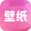 全局主题壁纸APP官方正版v1.1