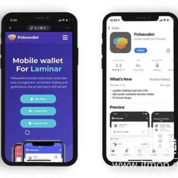 Polkawallet钱包安卓版下载 安卓版