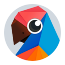 有道翻译官app4.3.22安卓版