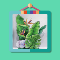 边框故事安卓手机版v1.4