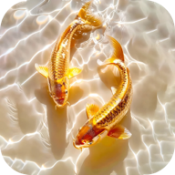 桌面养鱼壁纸app安卓安卓版v1.0.12