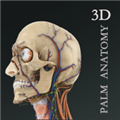 掌上3D解剖安卓版